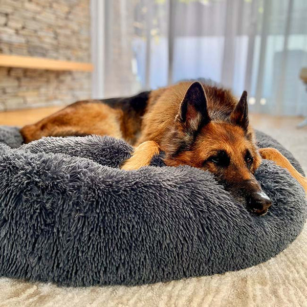 Calming Donut Cuddler