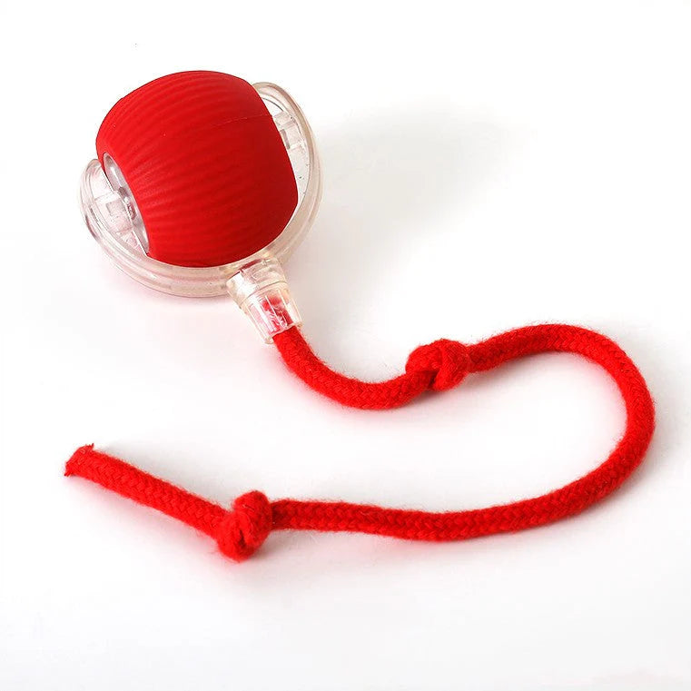 Tailsy Active Rolling Ball with Tail for Dogs