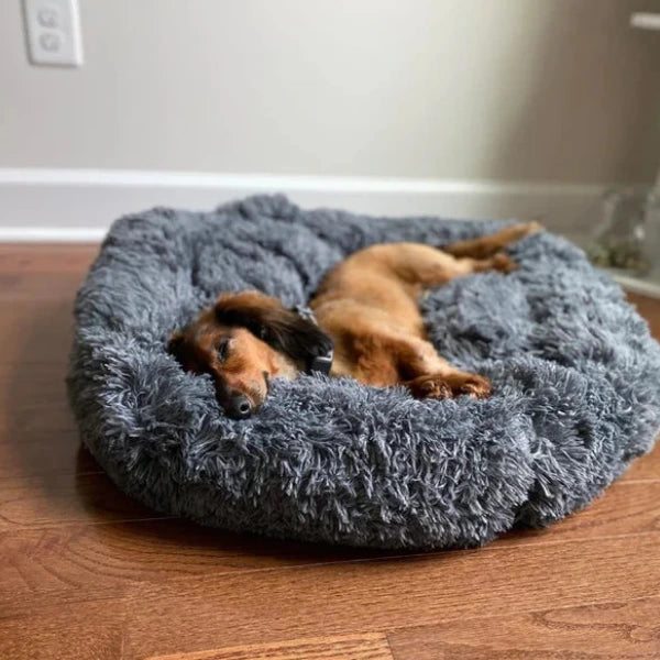 Calming Donut Cuddler