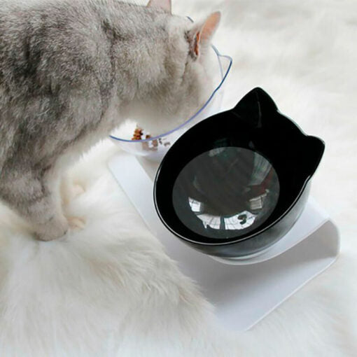 PurrfectPosture Anti-Vomiting Raised Cat Bowls