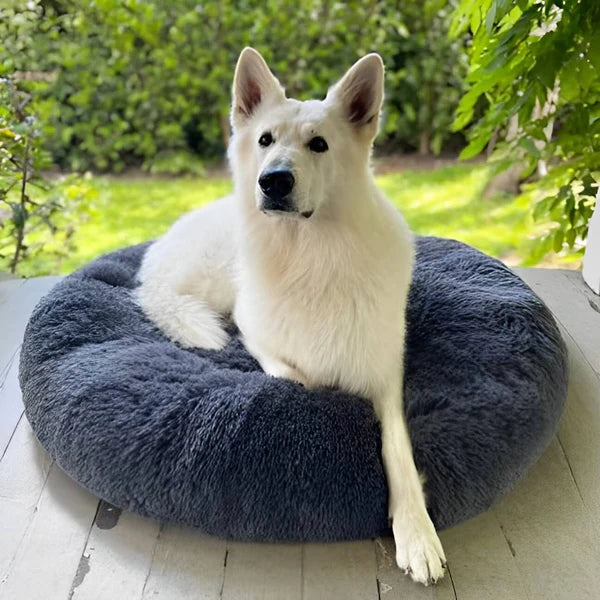 Calming Donut Cuddler